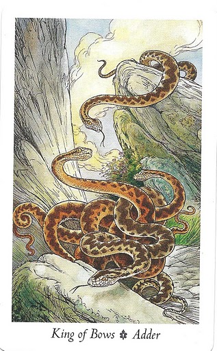 WildWood Tarot